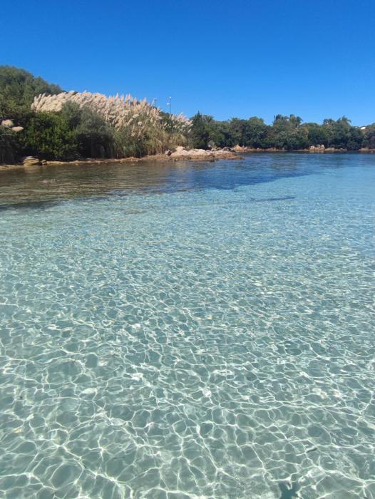 Emadi House Porto Rotondo