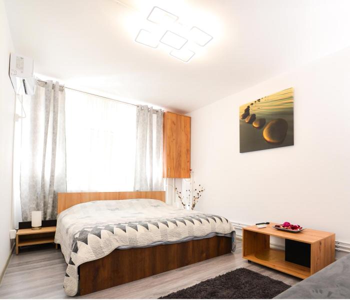 Central Grey Studio Hateg