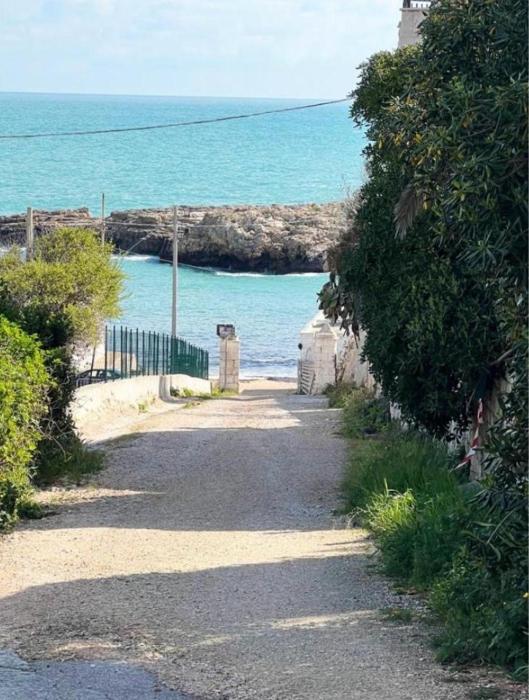 Petra Paura B&B by ROOMS SRLS