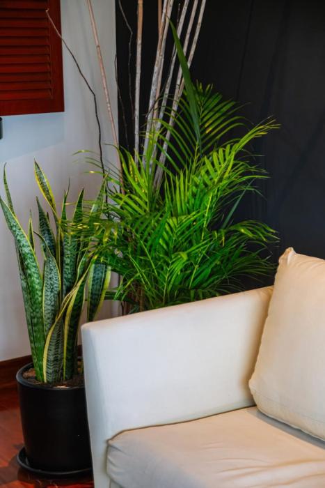 Golfland 2BR by Geko