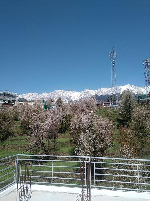 Tranquil trails home stay naddi