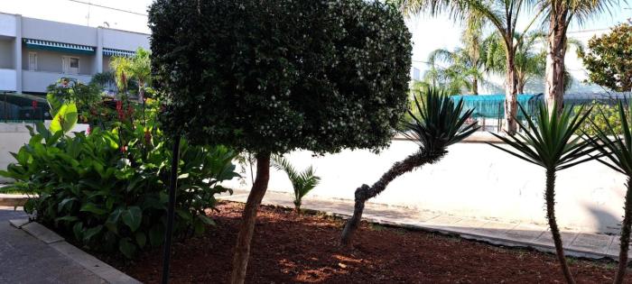 Casa Fortuna Baia Verde