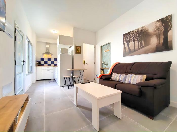 Las Gaviotas Apartment