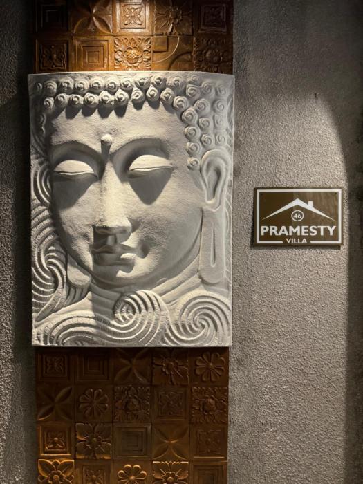 Private villa pramesty46