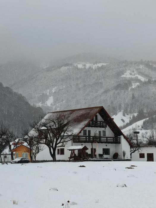 Căsuța dintre Meri
