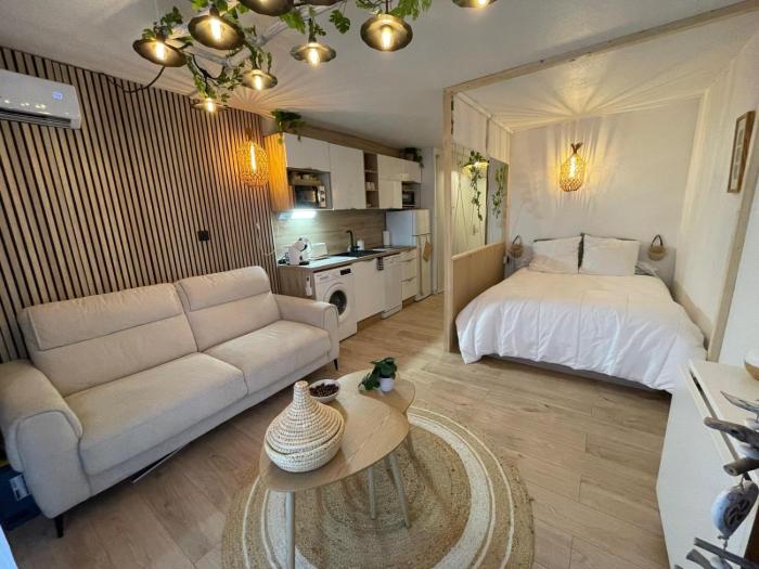 Studio entièrement rénové avec grande terrasse pour 4 personnes - Cap dagde