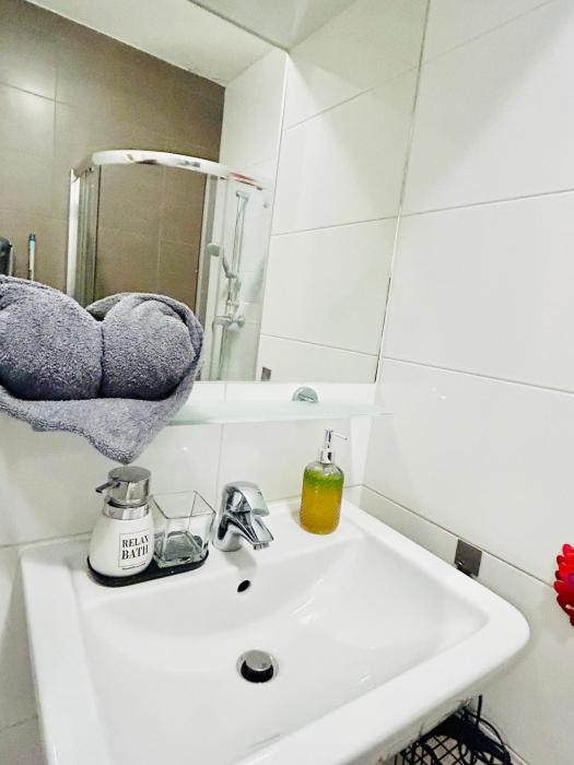 Luxury and cozy apartment Vinohrady Prague