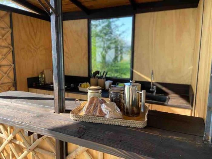 Escápate a un bosque mágico Citlalapa