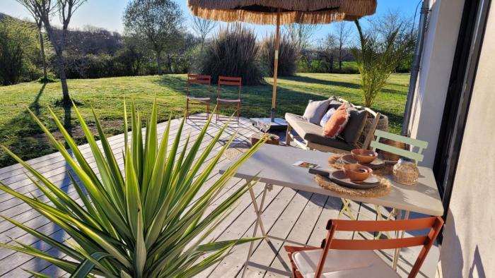 Sunny oasis