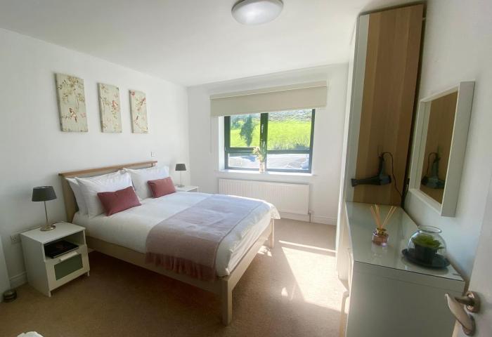 Spacious Millpark Apartment