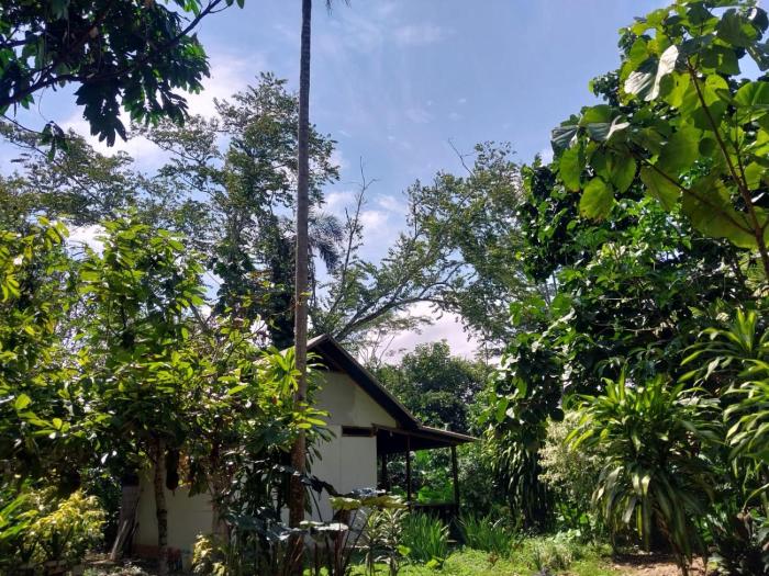 Musas Garden Lodge Tambopata
