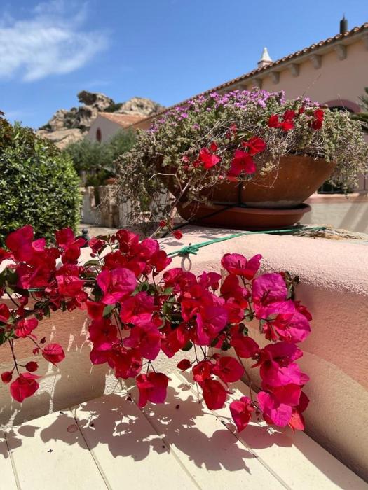 Capo d Orso - Borgo dell Orso - Casa vacanze