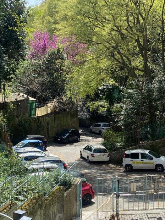 WakenBake al Terminal