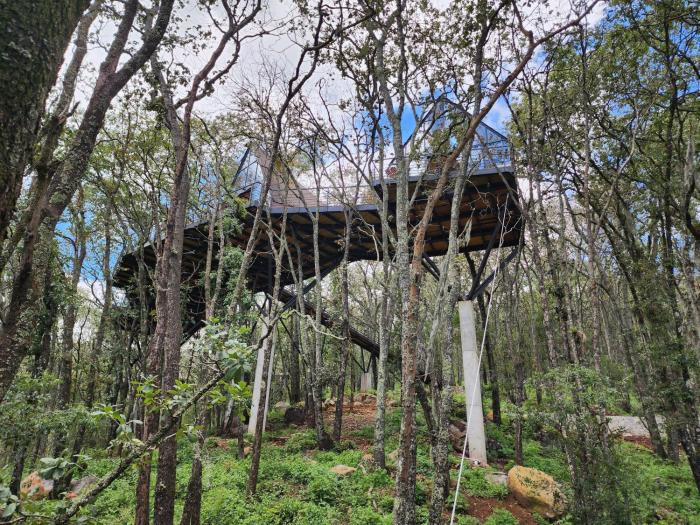 Cabaña Austral, Punta del Bosque