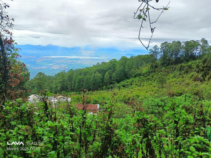 The Kodai Fantasy