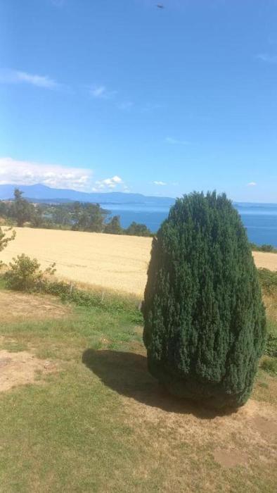 Grandioso alojamiento en el Sur cercano a Osorno y Valdivia