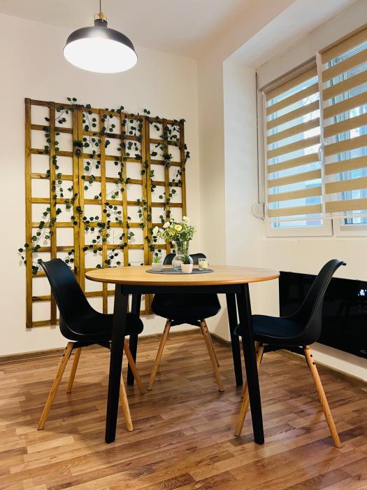 Studio Apartment Gradić