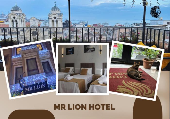 Mr Lion Kumkapı Otel