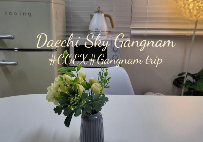 Daechi Sky Gangnam#COEX#Concert KSPO#강남세브란스병원#대치동학원가