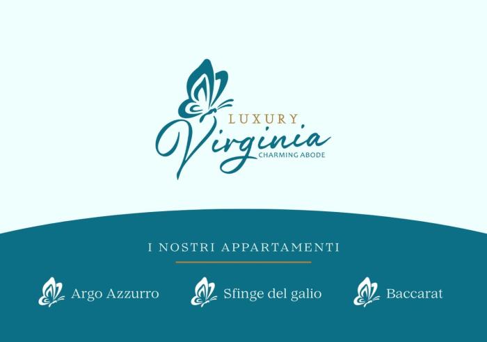 Virginia Luxury Apartment