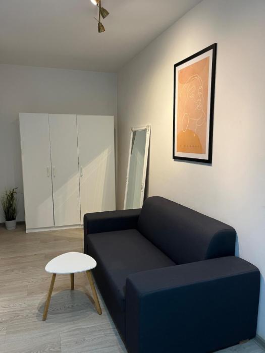 Beautiful studio right in the city center