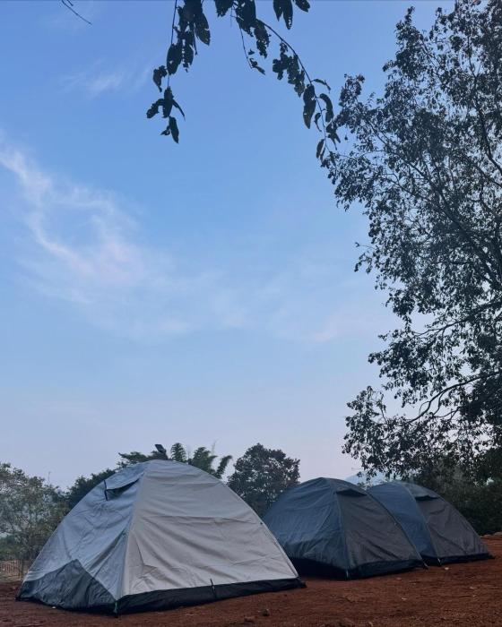 The Tribe Yelagiri Camping
