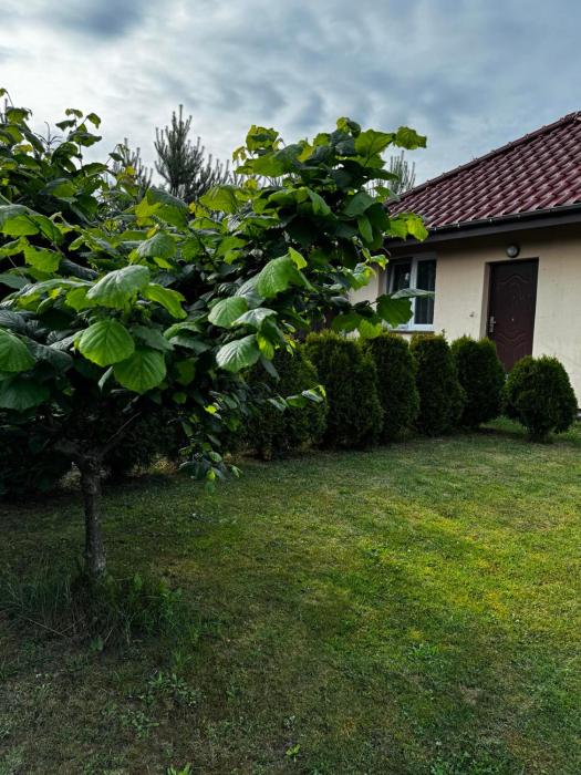 Domek Machowino w Dolinie nad Stawem