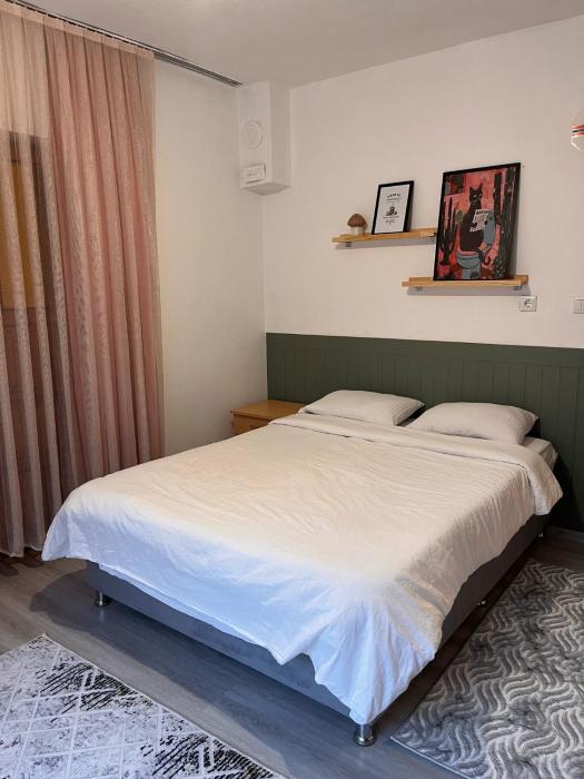 DALAMAN 2 ODALI DAİRE