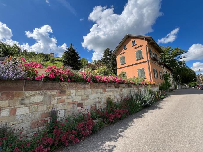 FeWo Weinberghaus "Zum Steinkauz"