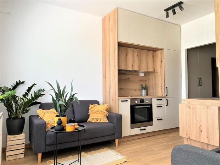 Beautiful apartment near the city center