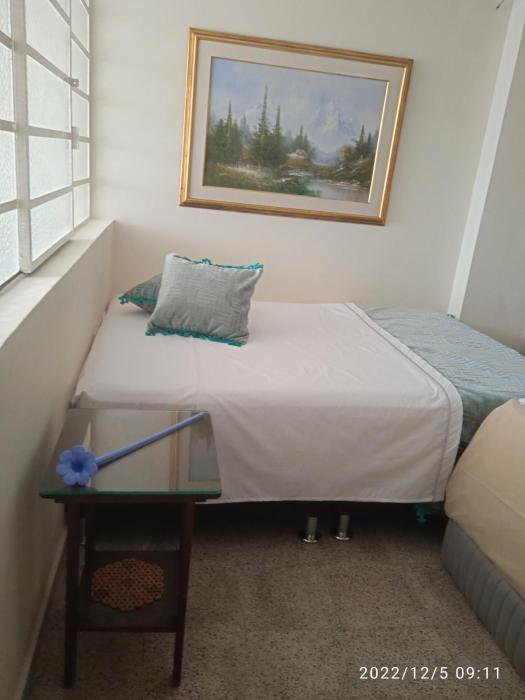 Grillo Grillo el amarillo