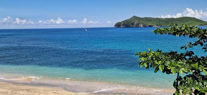 Castaway Surf Retreat