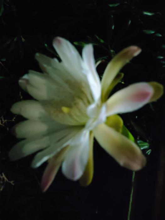 Villa Messapica, casa Veranda