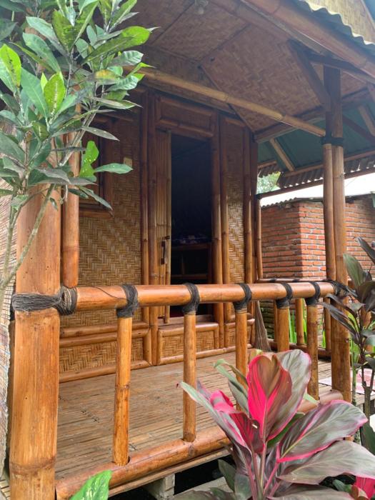 Farmer homestay