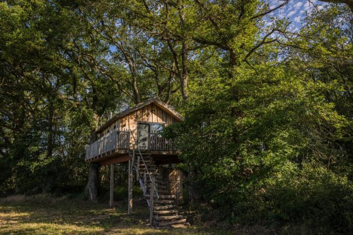 Boomhuis Domaine Bonneblond