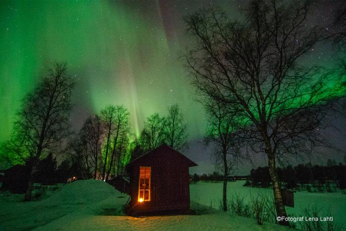 Calm Lapland Apartment - Perfect for Remote Work or Holiday