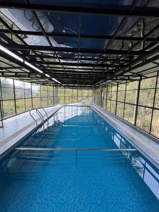 Kosher Livings Holiday