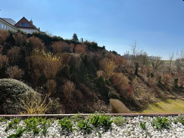 Ferienbutze Harz Drachenperle