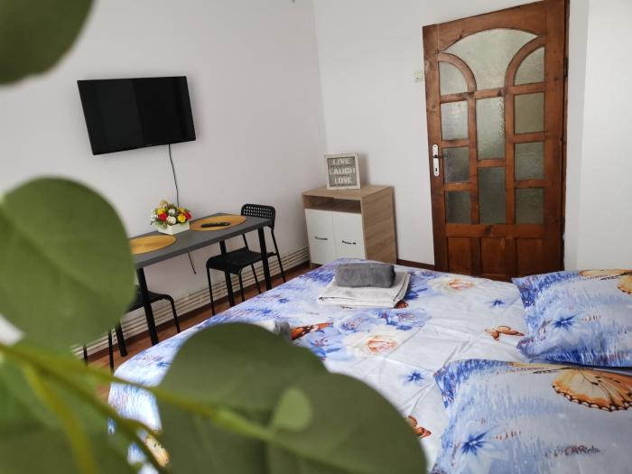 Studio STEFAN Campulung Muscel