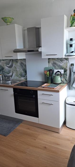 50m des cures joli studio Sophie avec coin nuit totalement relooké balcon wifi parking vue dégagée