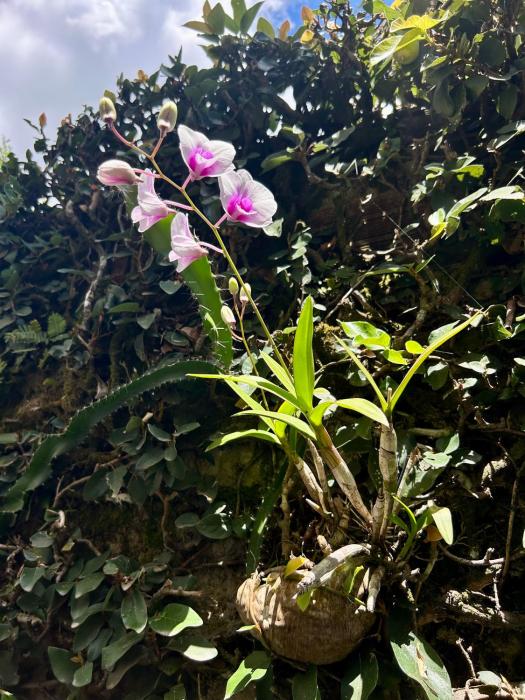 Casa da 17 - Lago Sul