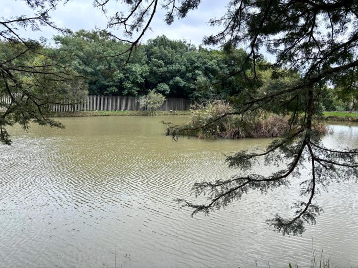 Shatisky Serene Escape