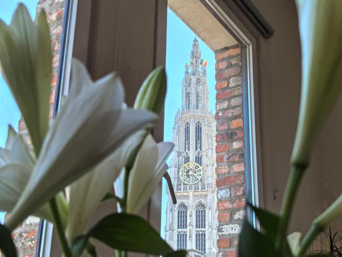 Historical center Antwerp,on foot