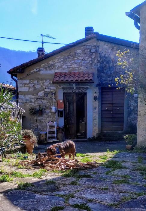 Maurizio nel Borgo Medievale