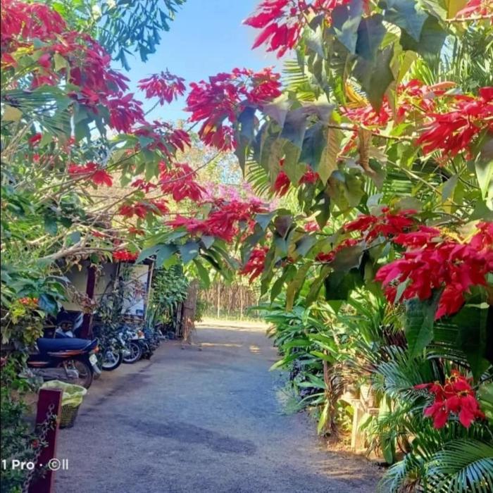 Tribal Village Homestay & Trekking