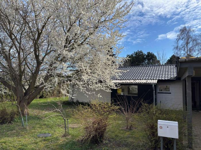 Holiday Home Near Water, Forest, And Møns Cliffs