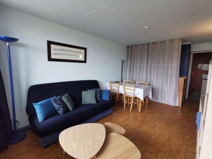 Studio cosy 4 pers. pied de pistes, animaux admis - FR-1-404-5