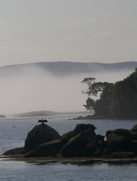 Adrigole Bay Studio Apartment