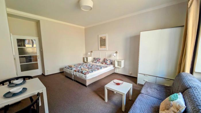 Flat in Zizkov -104-