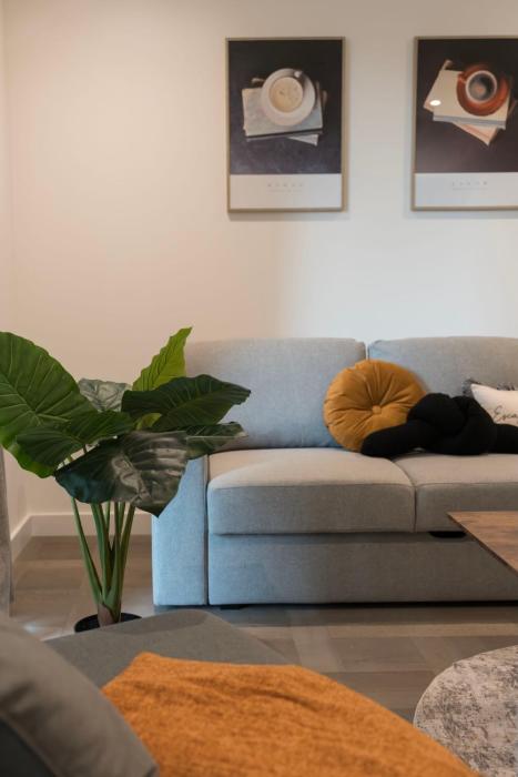 Luxury Flat The Only One